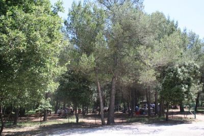 l'aire de pique nique